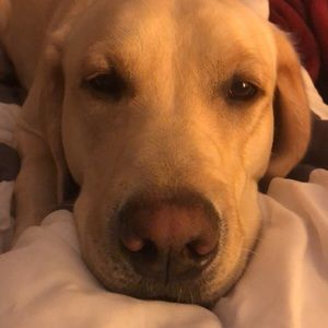 Meet your Posher, Christine